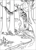 Forest Coloring Pages 48