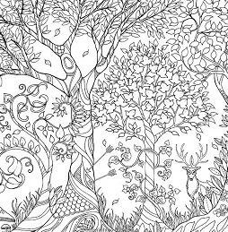 Forest Coloring Pages 7