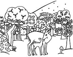 Forest Coloring Pages 9