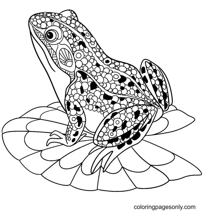 Ranas Para Colorear 58