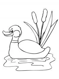 Funny Coloring Pages 143