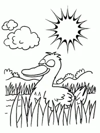 Funny Coloring Pages 144