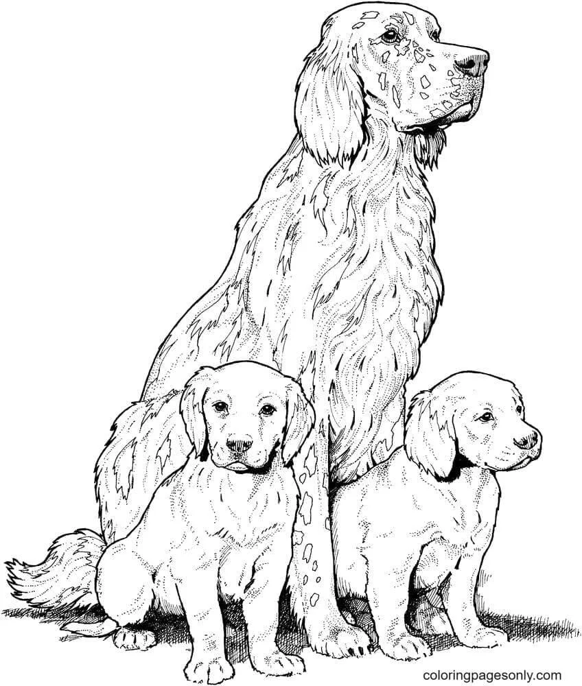 German Shepherd Coloring Pages 13