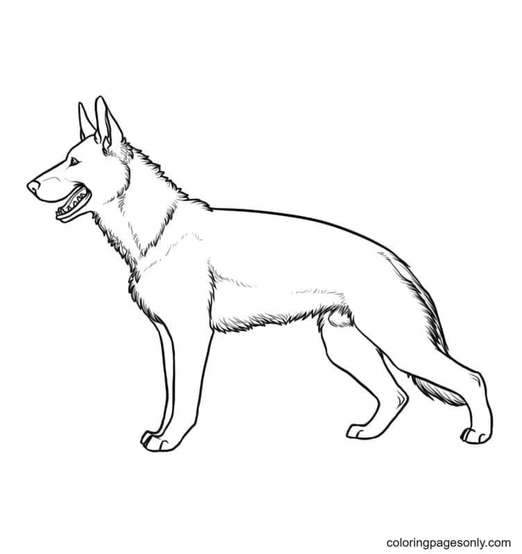 German Shepherd Coloring Pages 14