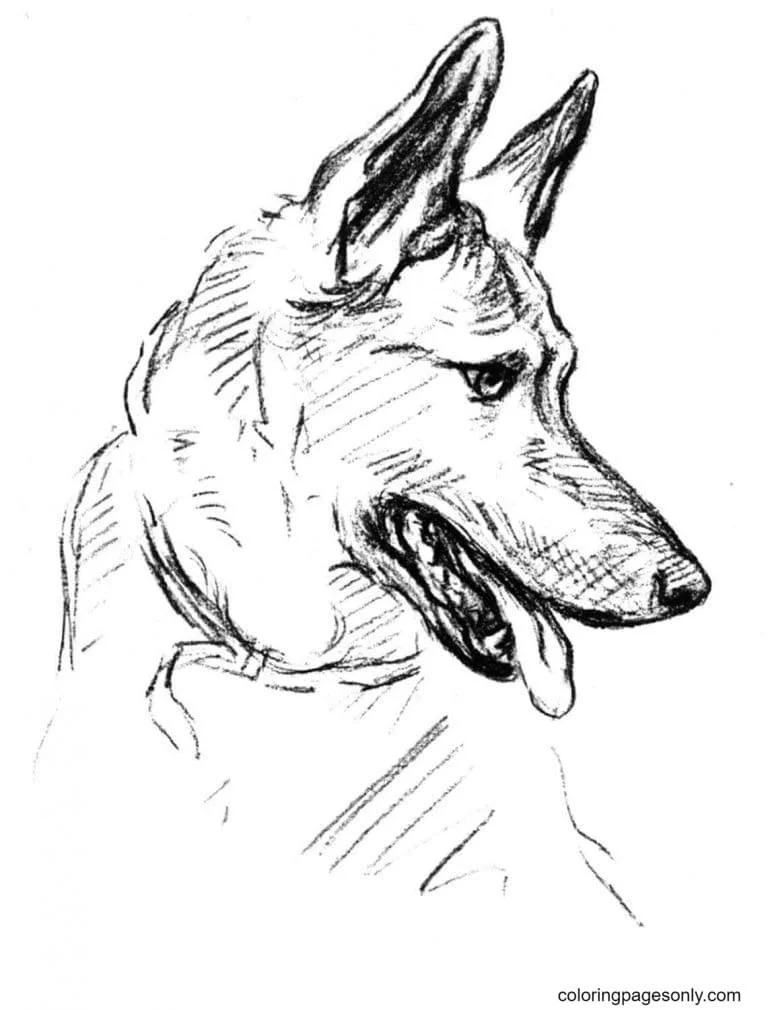 German Shepherd Coloring Pages 15