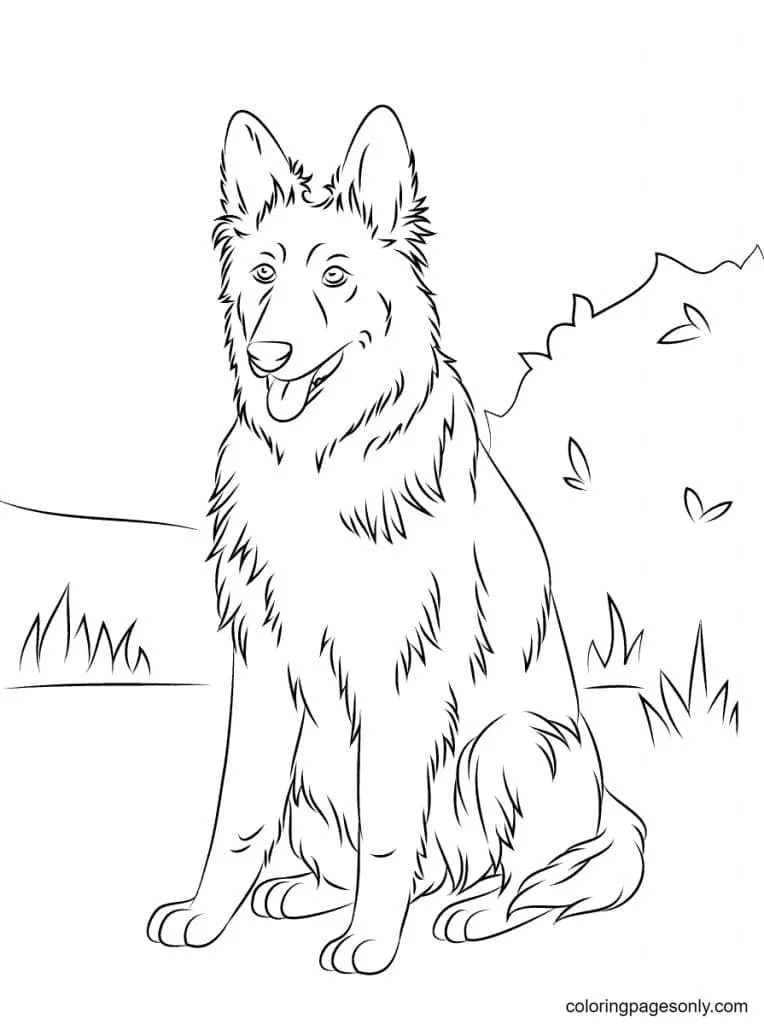 German Shepherd Coloring Pages 27