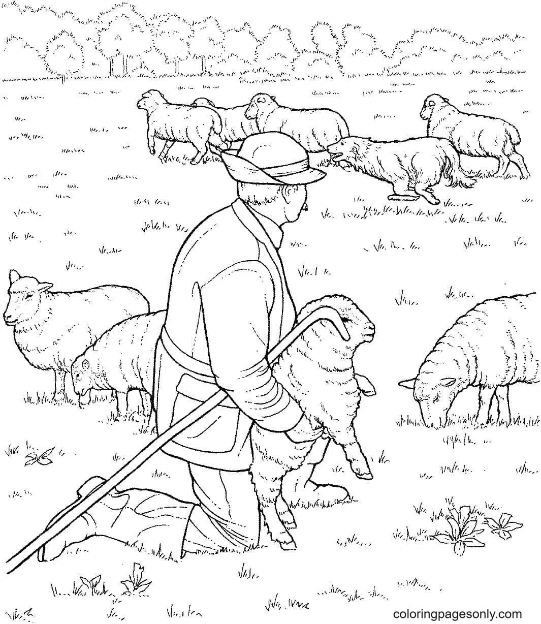 German Shepherd Coloring Pages 30