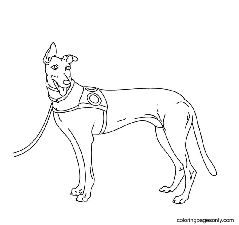 German Shepherd Coloring Pages