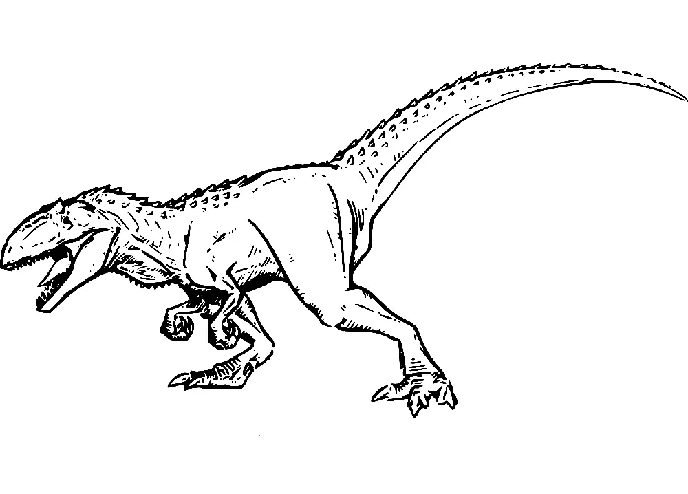 Desenhos de Giganotosaurus Para Colorir 15