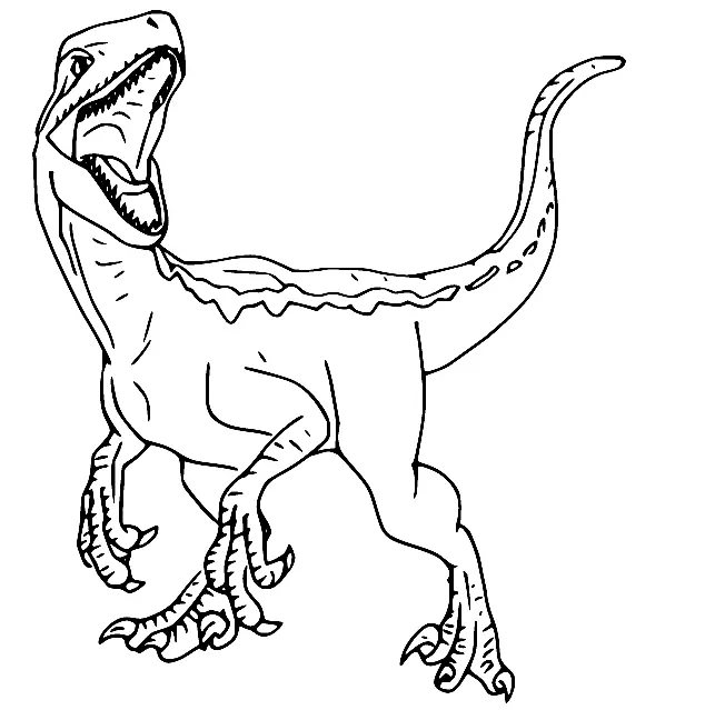 Desenhos de Giganotosaurus Para Colorir 2