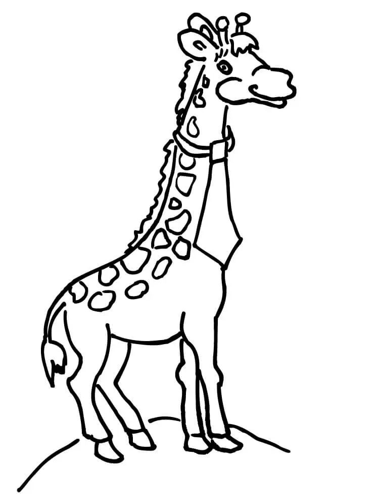 Giraffes Coloring Pages 56