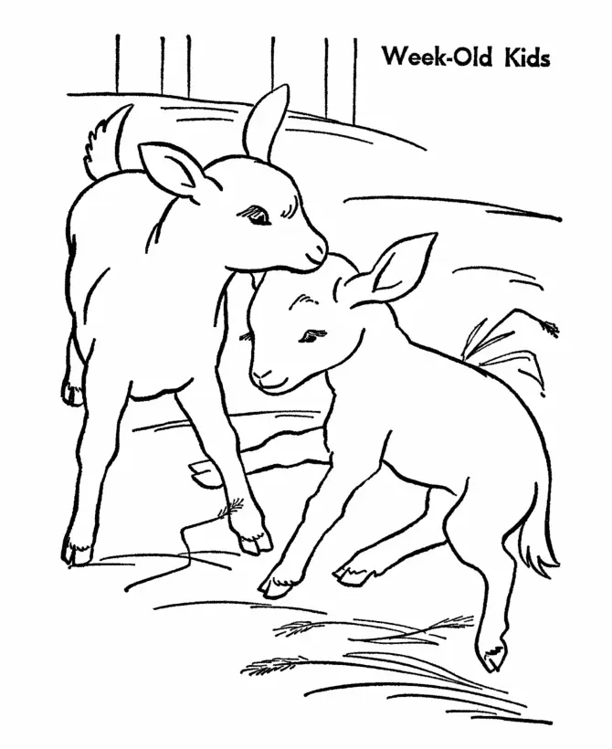 Goat Coloring Pages 19