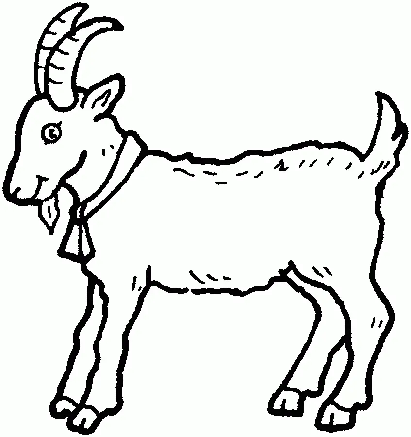 Goat Coloring Pages 2