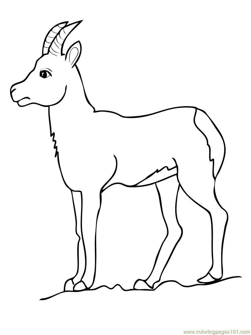 Goat Coloring Pages 21