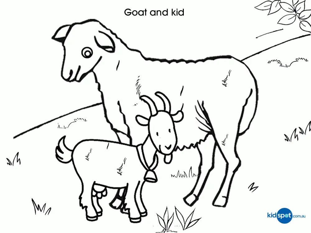 Goat Coloring Pages 27