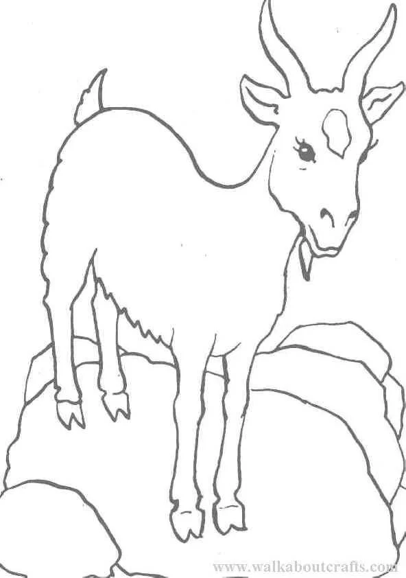 Goat Coloring Pages 32