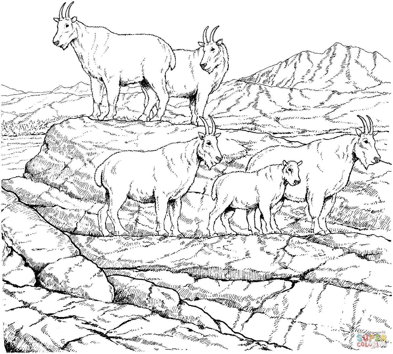 Goat Coloring Pages 7