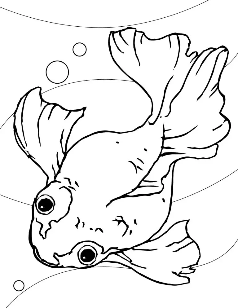 Goldfish Coloring Pages 52