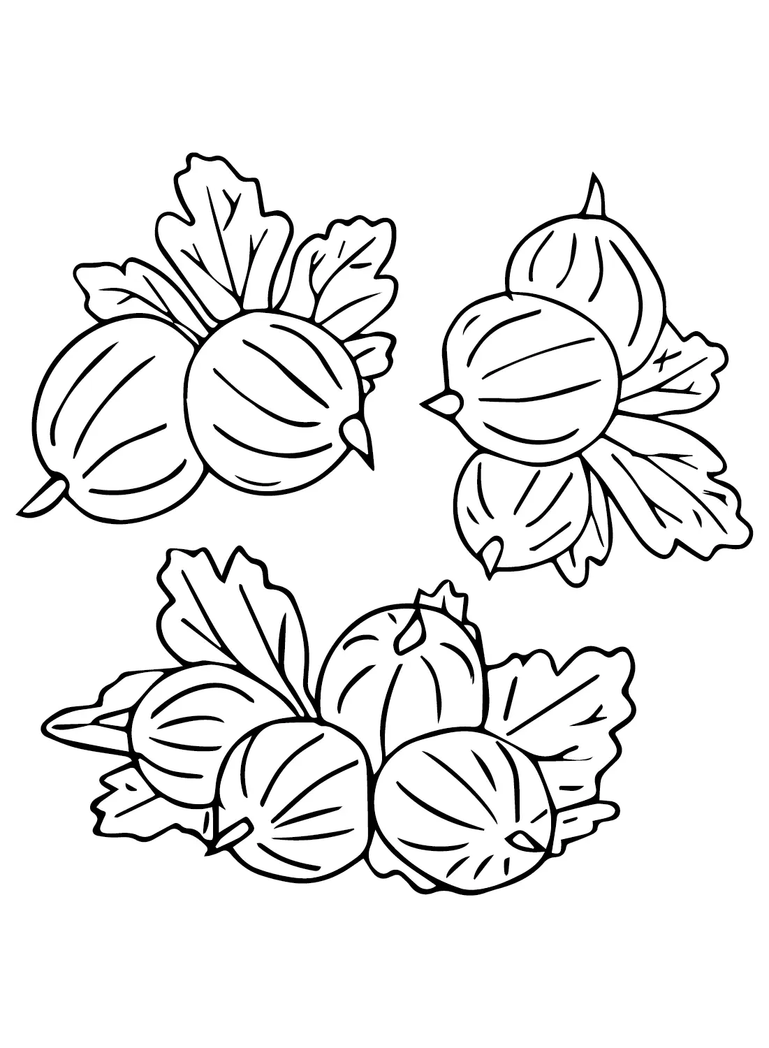 Gooseberry Coloring Pages 20