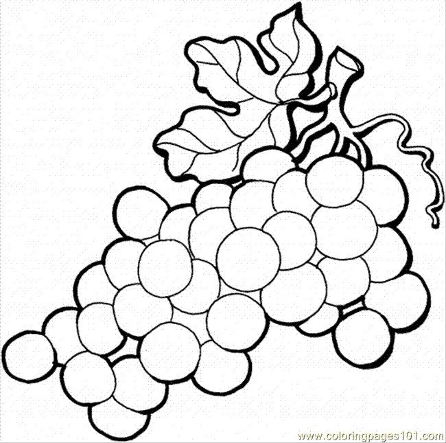 Grapes Coloring Pages 28