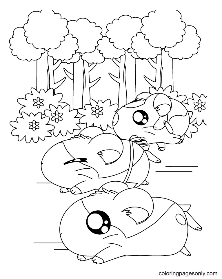 Hamster Coloring Pages