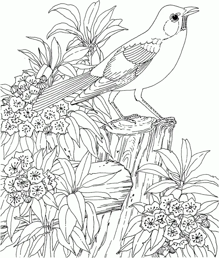 Hard Coloring Pages 69