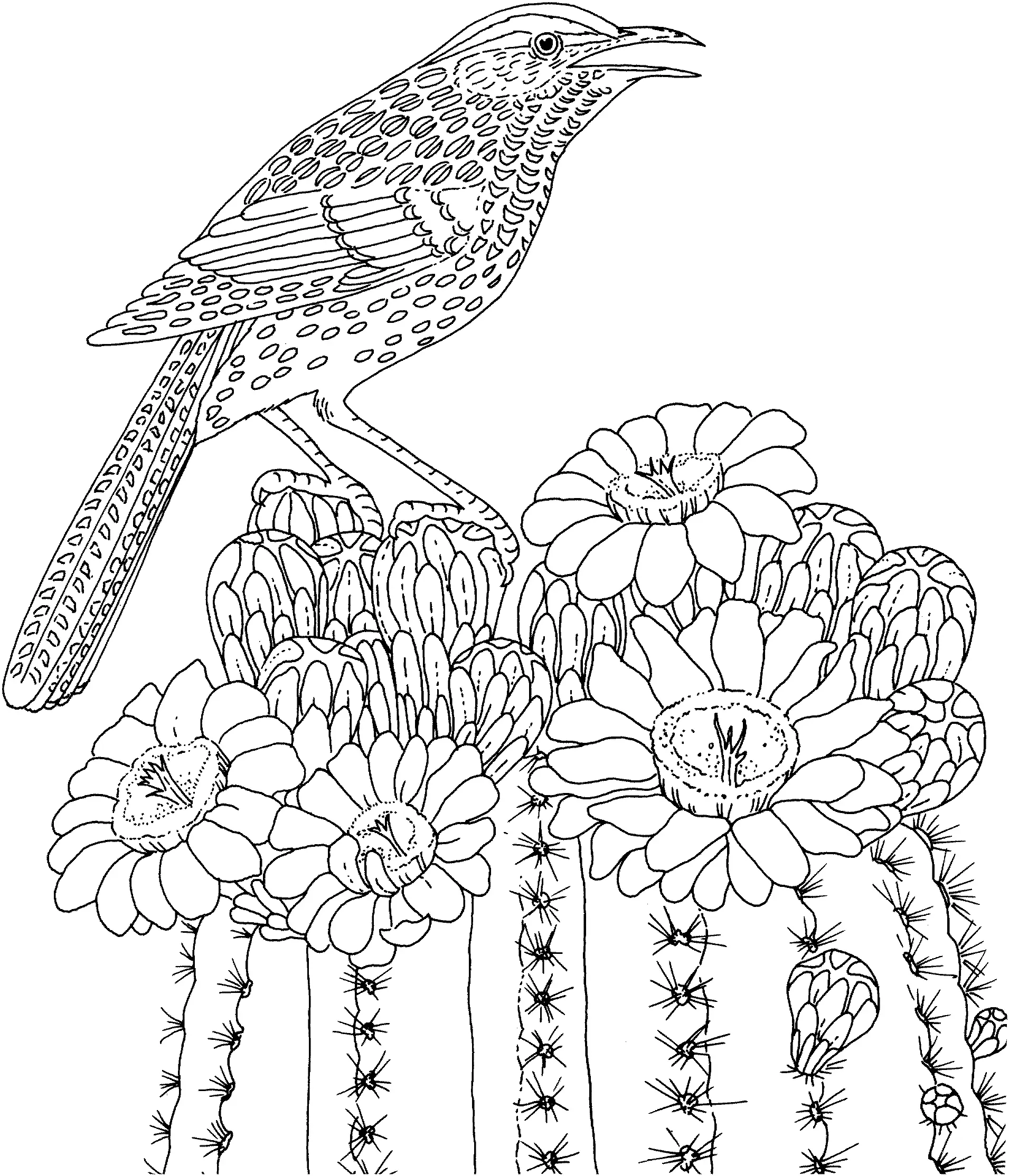 Hard Coloring Pages 84