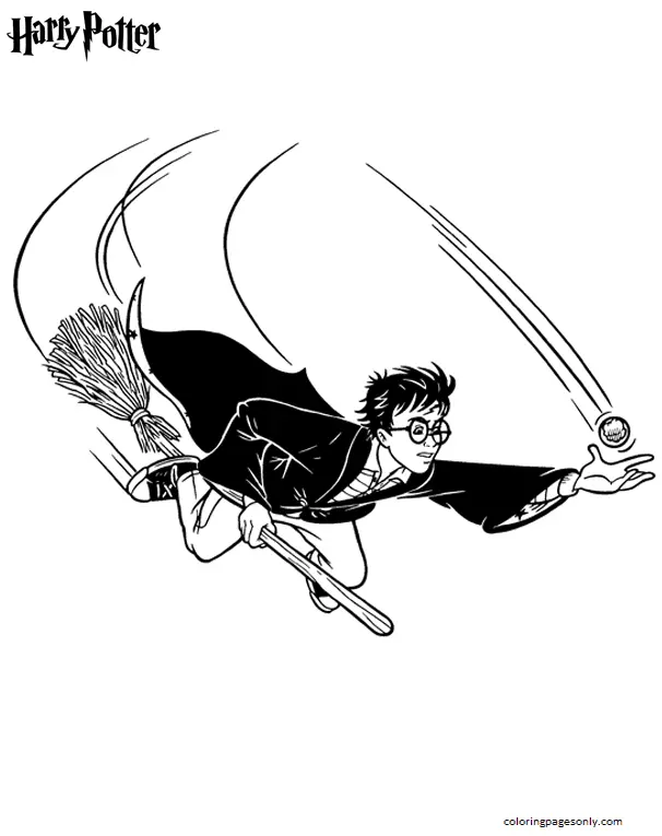 Harry Potter Para Colorear 77