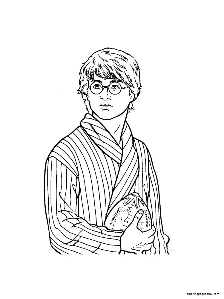 Desenhos de Harry Potter Para Colorir 95