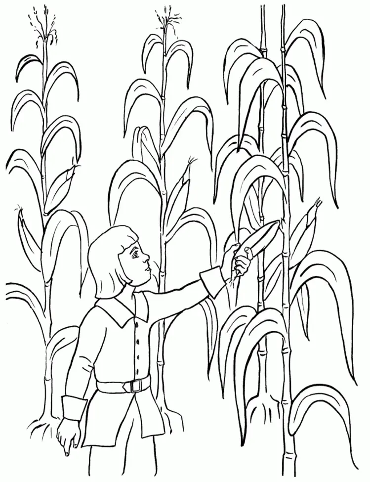 Desenhos de Colheita Para Colorir 41