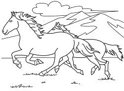 Horse Coloring Pages 101