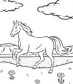 Desenhos de Horse Para Colorir 114