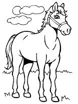 Desenhos de Horse Para Colorir 121