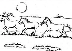 Desenhos de Horse Para Colorir 128