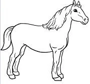 Desenhos de Horse Para Colorir 129