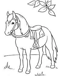 Horse Coloring Pages 14