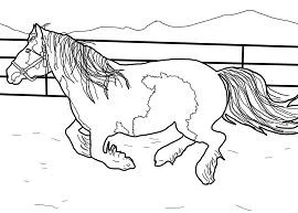 Horse Coloring Pages 142