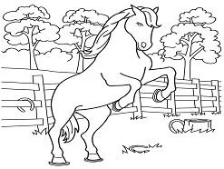 Horse Coloring Pages 143