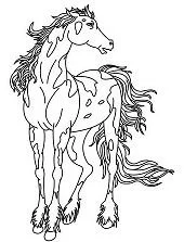 Horse Coloring Pages 156