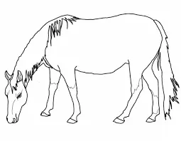 Desenhos de Horse Para Colorir 157