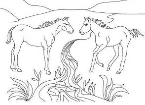 Desenhos de Horse Para Colorir 159