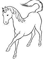 Desenhos de Horse Para Colorir 173