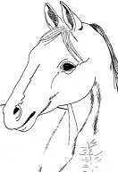 Horse Coloring Pages 182