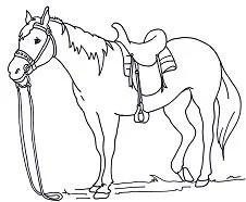 Horse Coloring Pages 55