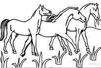 Desenhos de Horse Para Colorir 57