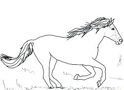 Horse Coloring Pages 67