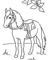 Desenhos de Horse Para Colorir 70