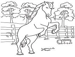 Desenhos de Horse Para Colorir 72