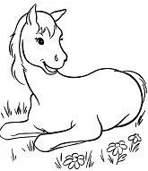 Desenhos de Horse Para Colorir 87