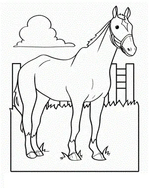 Desenhos de Horse Para Colorir 92